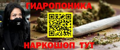 мдпв Гусь-Хрустальный