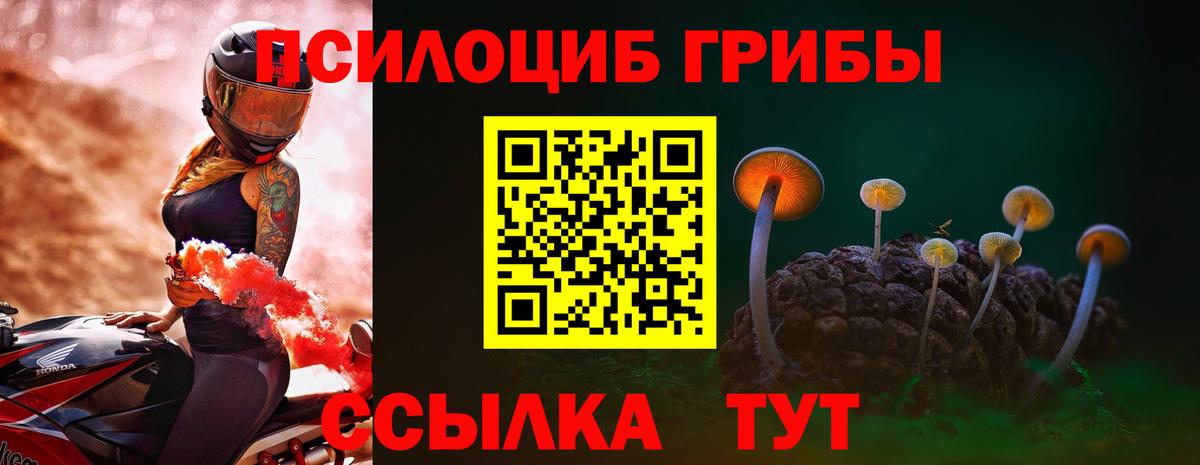 Междуреченск  Галлюциногенные грибы Psilocybe  Вход с VPN  Псилоцибиновые грибы ЛСД 