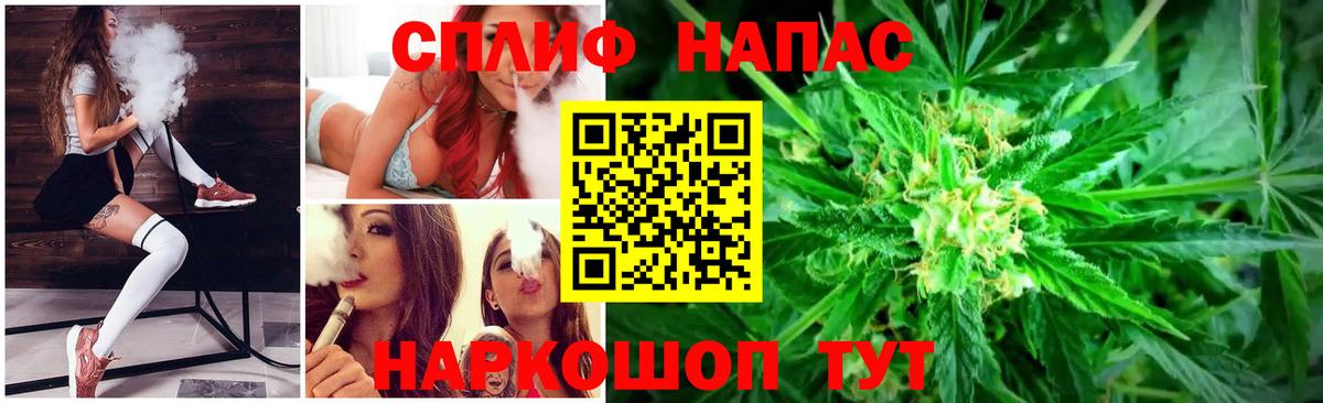 Конопля гибрид Междуреченск